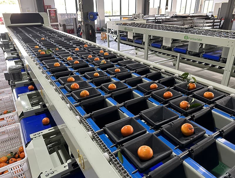 images/1686037931948citrus processing machine.jpg